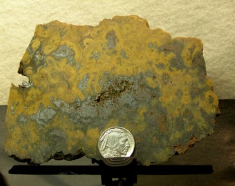 9359  Jasper Slab  5 1/4 x 3 1/2 inches  152 grams unpolished jasper lapidary slab  slabs rough gems minerals from thegemdealer