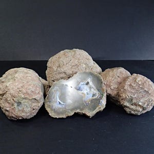 May include: A collection of rough, uncut geodes, some with a reddish-brown exterior and others with a gray and blue interior. The geodes are displayed on a black surface, showcasing their natural, textured appearance.
