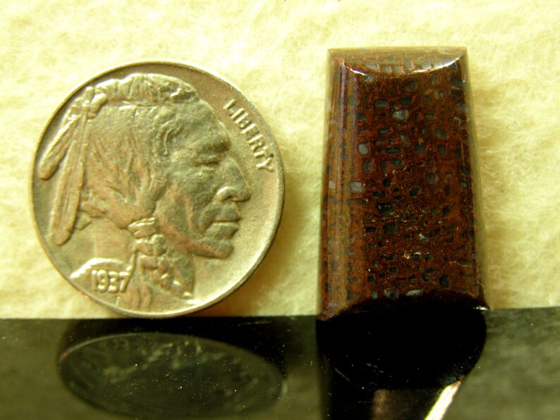 9068 Dinosaur Bone Cabochon 22 x 14 x 6 mm