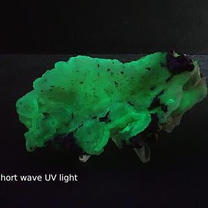 May include: A fluorescent green mineral specimen under short wave UV light. The rock has a textured surface with dark purple and white patches. The image is set against a black background.