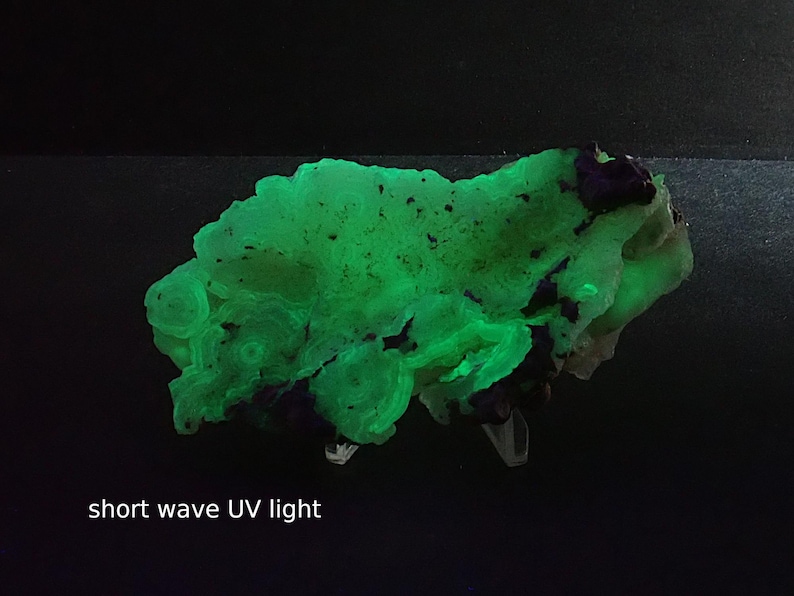 May include: A fluorescent green mineral specimen under short wave UV light. The rock has a textured surface with dark purple and white patches. The image is set against a black background.