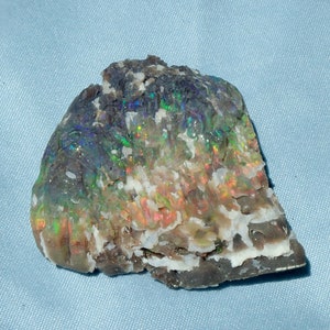 May include: A rough, uncut opal gemstone with a dark base and iridescent flashes of color. The opal displays a mix of colors, including green, red, and blue, with a white, textured surface. The gemstone is set against a light blue background.