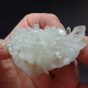 May include: A cluster of clear quartz crystals with a milky white hue. The crystals are clustered together in a dense formation, creating a unique and interesting display.