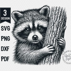 Raccon Vector Illustration, Cute Raccoon, Raccoon Hugging Tree Trunk, Raccoon Head Laser Cut Vector PNG Clipart Cut Files Engraving