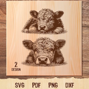 Cow Calf Illustration Vector SVG, Cute Calf SVG, Angus Calf Cow, Baby Cow, Dairy Cow PNG Clipart Cut Files Engraving Silhouette