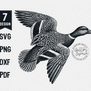 Mallard Duck Illustration Vector, Duck Hunting SVG, Mallard Duck Vector PNG Clipart Cut Files Engraving Silhouette