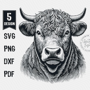 May include: Black and white line art illustration of a bull's head with curly fur. The bull is looking directly at the viewer.