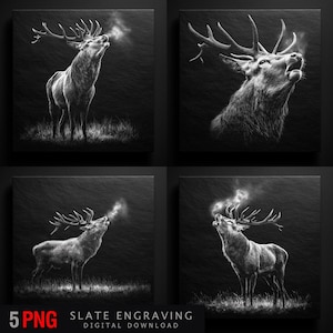 Puede incluir: Un conjunto de cuatro grabados en pizarra en blanco y negro que representan un majestuoso ciervo con grandes astas, representado en varias poses. El ciervo está de pie en una zona herbosa, con vapor saliendo de su boca. El texto "5 PNG SLATE ENGRAVING DIGITAL DOWNLOAD" está en la parte inferior.