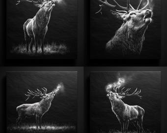 Stag Engraving Design: Majestic Deer Clipart for Laser Cutting (Digital Download PNG Bundle)