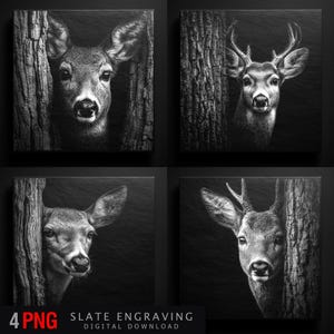 May include: Four black and white square prints featuring deer peeking from behind trees. The deer have detailed fur and antlers. The bottom of the image has the text "4 PNG" and "SLATE ENGRAVING DIGITAL DOWNLOAD".
