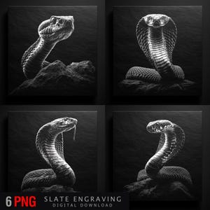 Può includere: Una collezione di quattro illustrazioni in bianco e nero di serpenti. Ogni immagine presenta un'incisione dettagliata di un cobra in varie pose, su uno sfondo scuro. L'angolo in basso a sinistra dell'immagine include il testo "6 PNG SLATE ENGRAVING DIGITAL DOWNLOAD".