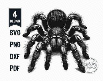 Tarantula Spider Illustration Vector, Tarantula SVG, Spider SVG, Tarantula Spider PNG Clipart Cut Files Engraving Silhouette