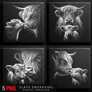 May include: Set of black and white slate coasters with detailed engravings of Highland cows and their calves. The coasters depict the animals' textured fur and horns, creating a rustic and artistic aesthetic. The image includes the text "5 PNG SLATE ENGRAVING DIGITAL DOWNLOAD".