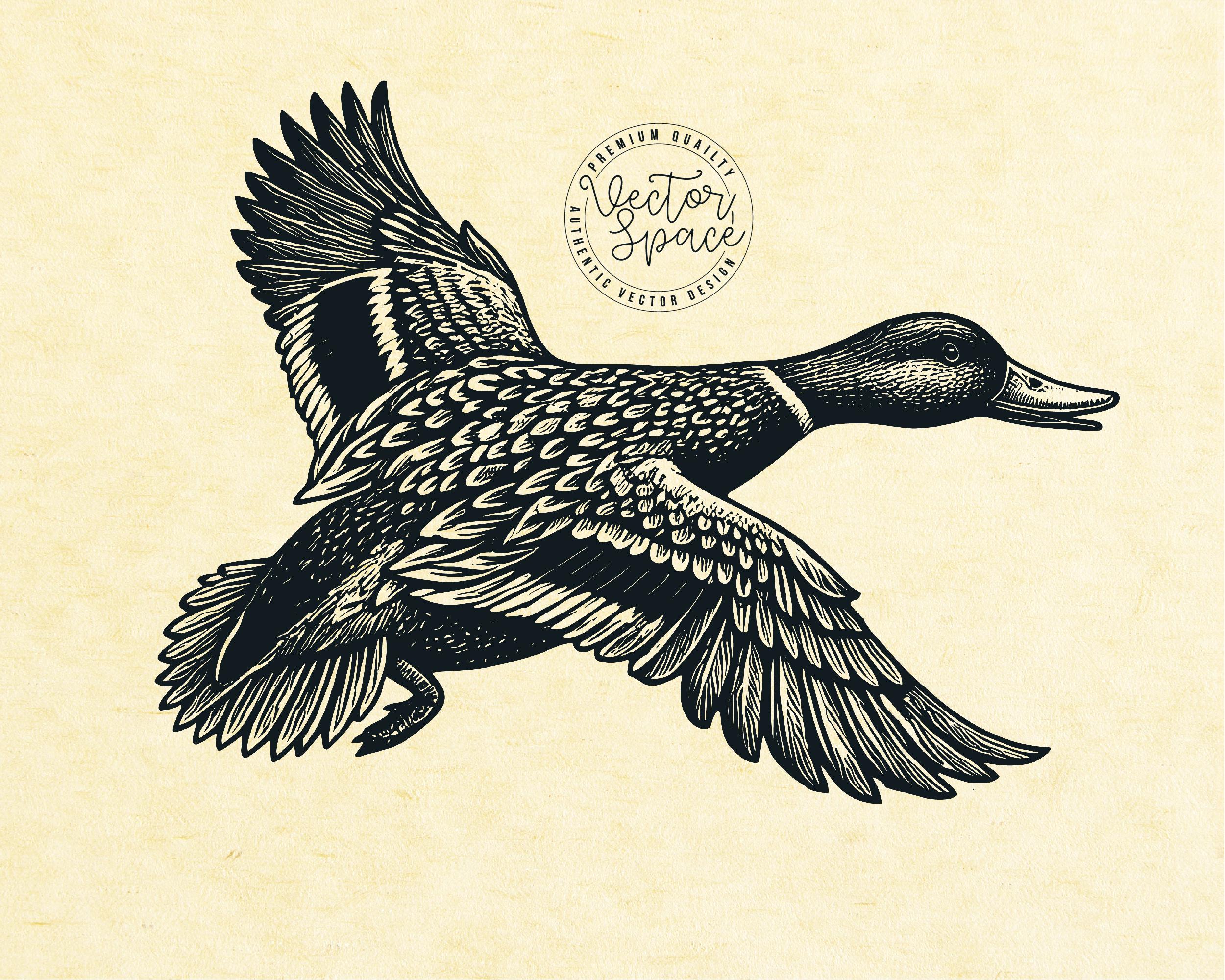 Mallard Duck Illustration Vector, Duck Hunting SVG, Mallard Duck Vector ...