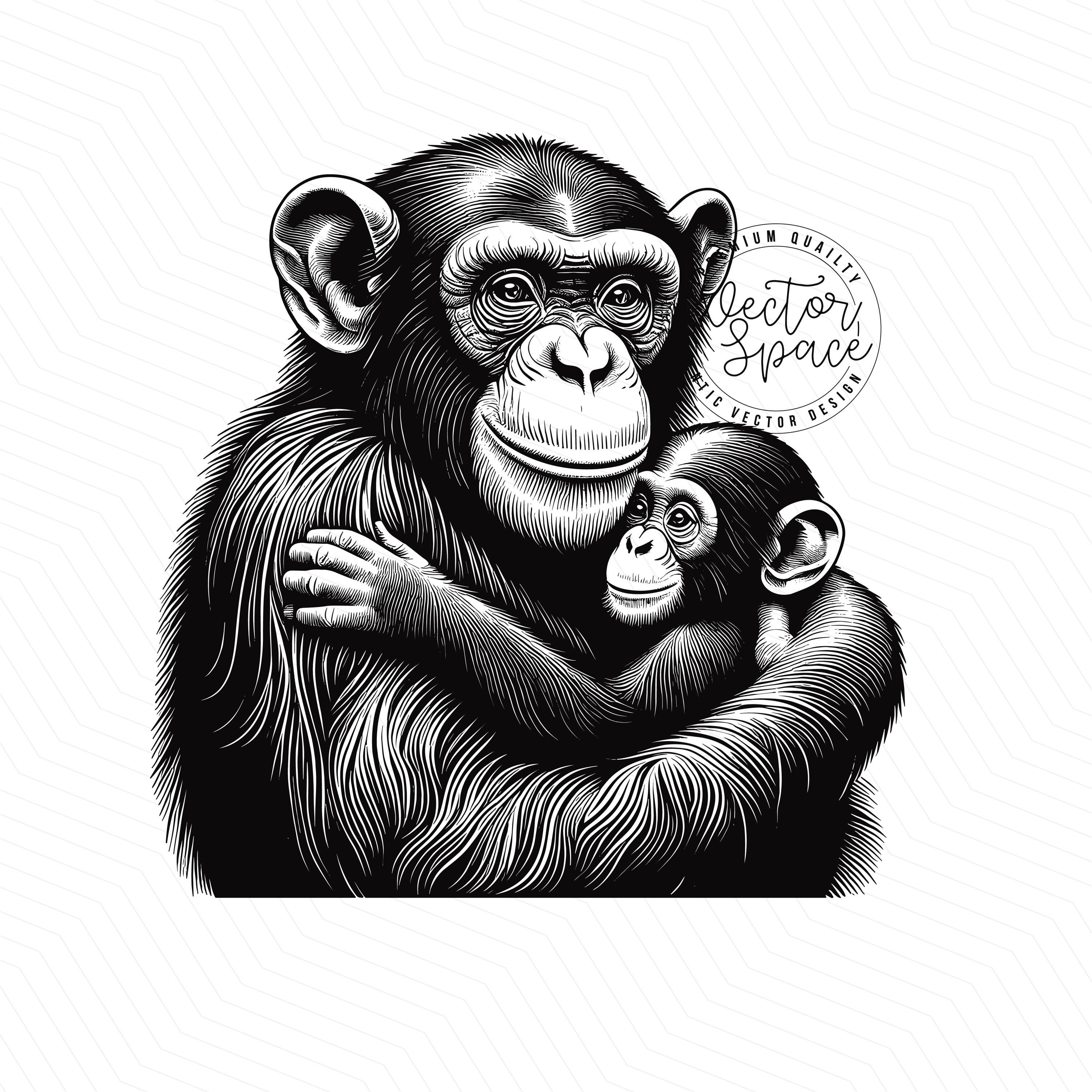 Chimpanzee Bundle SVG, Ape Monkey Chimpanzee, Baby Chimpanzee, Monkey ...