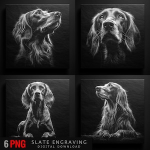 Pode incluir: Um conjunto de quatro gravuras em ardósia a preto e branco com retratos detalhados de um cão. O cão é retratado em várias poses, olhando para cima e para a frente. O canto inferior esquerdo da imagem tem o texto "6 PNG".