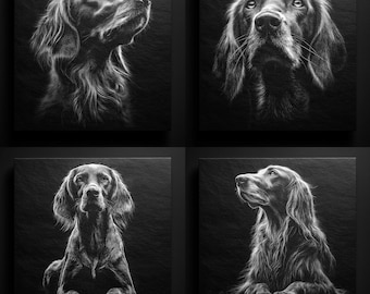 Long Haired Setter PNG Bundle: Weimaraner Style Dog Art (Digital Download