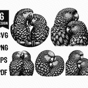 May include: Black and white line art illustration of six different poses of two parrots cuddling. The parrots are facing each other and have their heads touching. The illustrations are in a realistic style.
