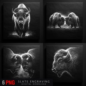 May include: Four monochrome bison art prints. The prints depict detailed images of bison in different poses, including a frontal view, two facing each other, and a close-up of a bison's head. The text "6 PNG SLATE ENGRAVING DIGITAL DOWNLOAD" is at the bottom.