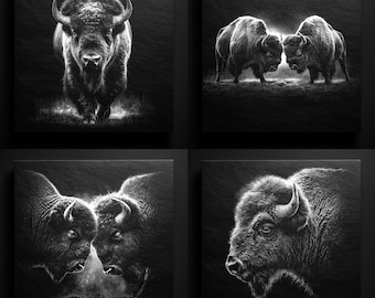Majestic Bison PNG Clipart: Slate Engraving Design (Digital Download)