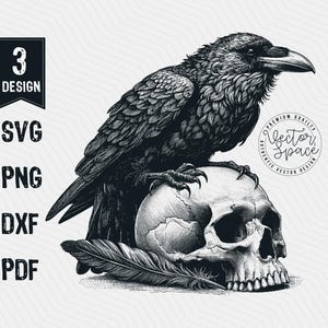 May include: A black and white illustration of a raven perched on a human skull. The raven has a detailed, feathered body and a sharp beak. The skull is also detailed, with visible teeth and eye sockets. The image is set against a white background.