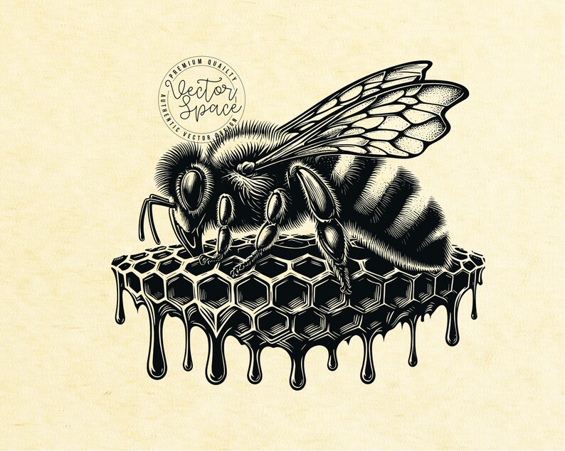 Bee Vector Illustration, Honeycomb SVG, Honey Svg, Bee Logo, Bee Hive ...