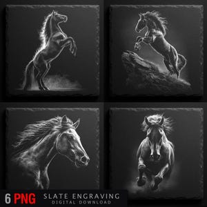 Horse Slate Engraving PNG Bundle – Wild Horse Digital Download for Laser Engraving, Black and White Equestrian Art Clipart