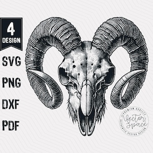 Può includere: Illustrazione in bianco e nero di un cranio di ariete con grandi corna ricurve. Il cranio è dettagliato con linee e ombreggiature intricate, che gli conferiscono un aspetto realistico.