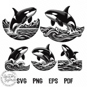 Orca SVG-Bundle, Schwertwal Clipart, Meerestier SVG PNG, springen Orca Cut Files für Cricut, Laser Gravur, Wildlife Art