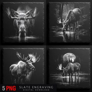 May include: Four square slate coasters with black and white moose engravings. Each coaster depicts a different moose scene, including a close-up of a moose face, a moose drinking from a lake, and a moose in front of a full moon. The text "SLATE ENGRAVING DIGITAL DOWNLOAD" is at the bottom.