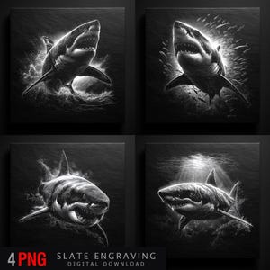 Shark Slate Engraving Art | PNG File for Laser Cut | High Contrast Predator Ocean Wildlife Clipart | Digital Download