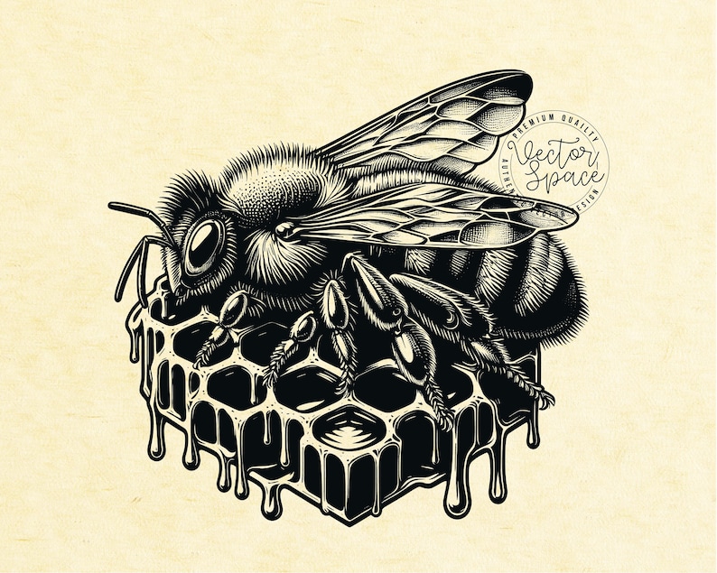 Bee Vector Illustration, Honeycomb SVG, Honey Svg, Bee Logo, Bee Hive ...