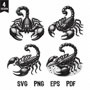 Scorpion Vector SVG, Scorpio Zodiac Symbol Logo, Scorpion Bundle SVG PNG Clipart Cut Files Engraving Silhouette