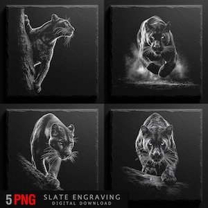 May include: Four black and white slate engravings featuring cougar illustrations. The images depict the cougars in various poses: climbing a tree, leaping, walking on a branch, and approaching head-on. The bottom left corner of each slate has the text "5 PNG".