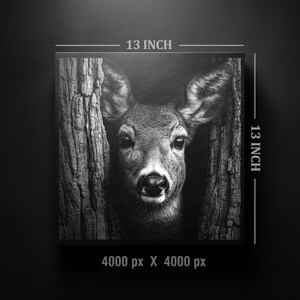 May include: Black and white square canvas art featuring a deer's face peering between two tree trunks. The artwork is 13 inches (33 cm) on each side. The deer's fur and the tree bark are highly detailed.
