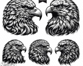 Eagle Head SVG, Eagle Bundle, Eagle Face, American Eagle, Eagle Hawk Laser Cut SVG PNG Clipart Cut Files Engraving Silhouette