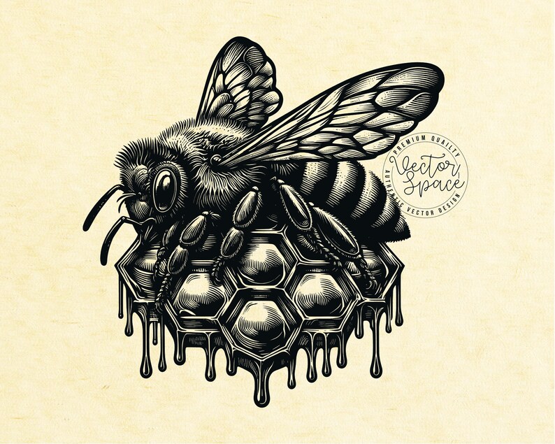 Bee Vector Illustration, Honeycomb SVG, Honey Svg, Bee Logo, Bee Hive ...