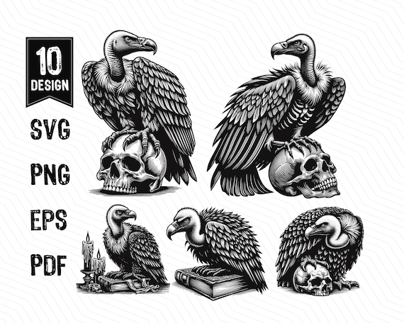 Vulture Bird SVG, Vulture and Skull, Gothic Vulture Bird, Wildlife