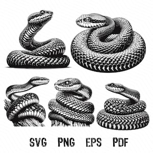 May include: A set of five black and white illustrations of snakes in different poses. The snakes are drawn in a realistic style with detailed scales and patterns.
