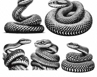Serpente SVG, Vettore di fascio di serpenti, Serpente rettile, Testa di serpente, Serpente arrotolato, File di taglio clipart PNG SVG di serpente Silhouette di incisione