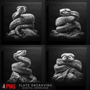 May include: Four monochrome snake art prints. Each depicts a coiled snake on a rock. The snake's scales are detailed, and the background is dark. The bottom of the image reads "4 PNG SLATE ENGRAVING DIGITAL DOWNLOAD".