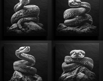 Coiled Snake Slate Engraving Design: High-Detail Wildlife Art (PNG Digital Download)
