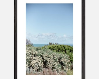Melbourne Coastal Print: Australian Landscape Photography, Ready to Hang