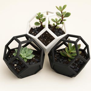 Geometric Succulent Planters with Plants – Modern 3D Printed Indoor Decor | Faceted Terrarium Pots for Home, Office or Gifts