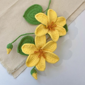 CROCHET FLOWER - Easy Tung Blossoms Crochet PDF Pattern, Beginner Friendly Flower Tutorial, Step-by-Step with Photos, Crochet Home Decor