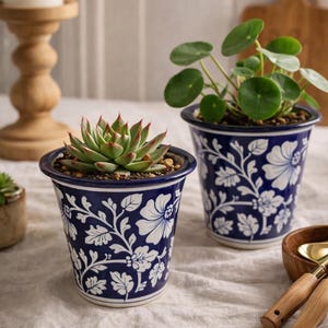 May include: Two blue and white ceramic flower pots with floral designs. One pot contains a succulent with green and red-tipped leaves, and the other has a small green plant. The pots are on a white tablecloth.