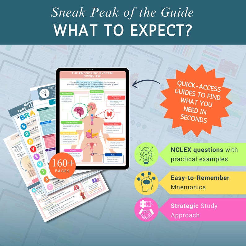 NCLEX Study Guide Bundle: Nursing School Notes, RN Exam Prep (digital ...