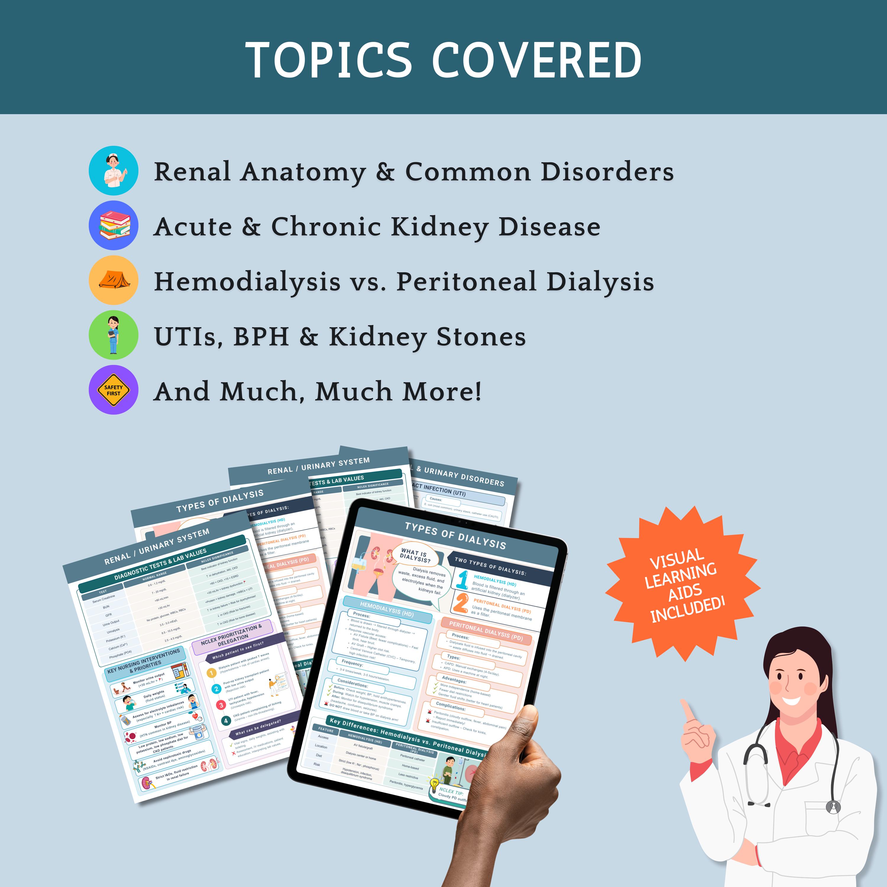 Renal Urinary System Cheat Sheet: Med Surg Nursing Notes (PDF) - Etsy