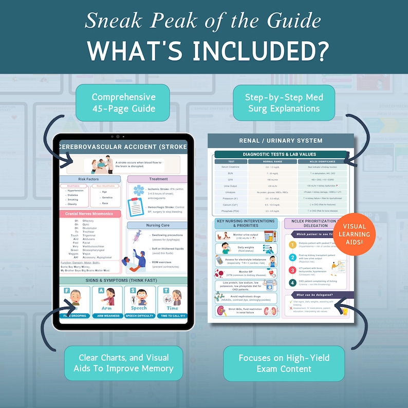 Med-surg Study Bundle, Med Surg Nursing, Nurse Med-surg Notes, Med-surg ...