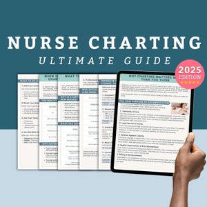 Nursing Documentation Template, Nurse Charting Guide, Documentation Guide, CNA Patient Practice, Nurse Charting Documentation Cheat Sheet